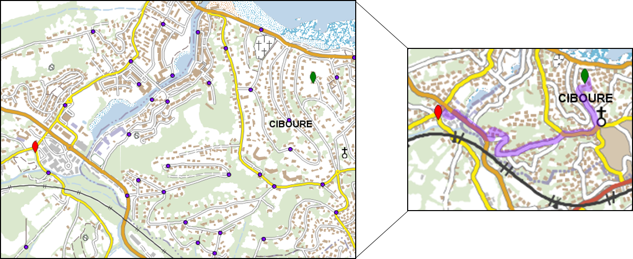 Multi-scale route following task